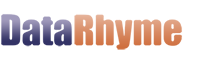 Datarhyme logo